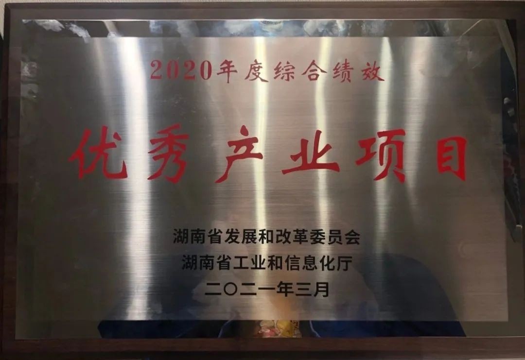 k1体育
获评湖南“2020年度综合绩效优秀产业项目”