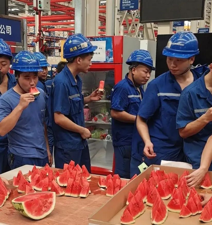 k1体育
“降暑套餐”，只为不服“暑”的你