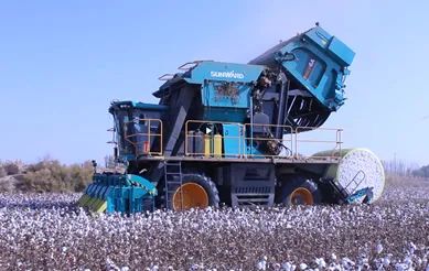 科技赋能农业强国建设!k1体育
这个人工智能项目入选《湖南省“数字新基建”100个标志性项目名单》