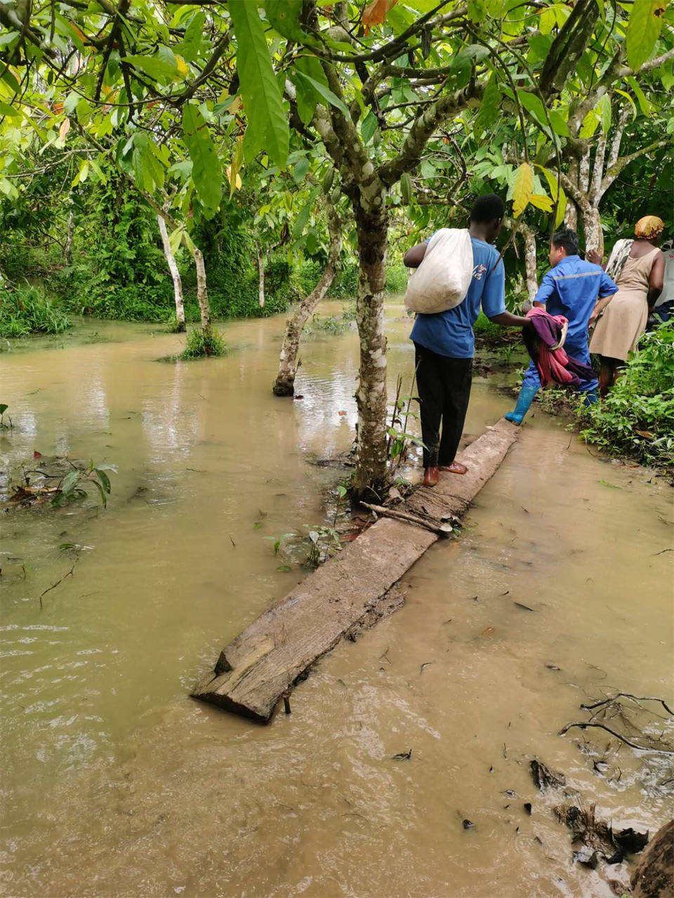 品质山河,用心服务!k1体育
服务万里行活动走进非洲加纳